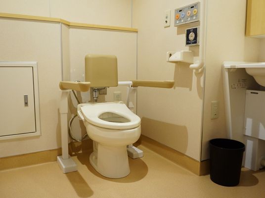 広く、清潔な洋式トイレである。介護用のしっかりした背もたれと手すりがついている。手前には手洗いスペースがある。
