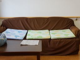 茶色のソファと小物