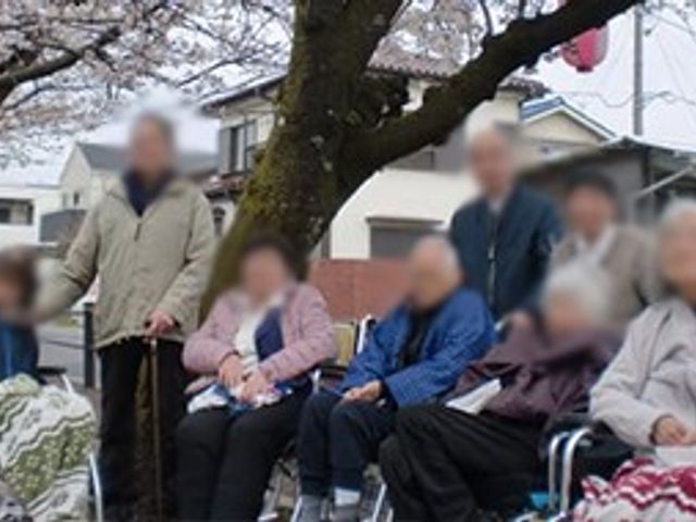 春の散歩道 庭 桜の並木道で、入居者の方々が季節を楽しむひとときです。自然を感じることができ、心が安らぎます。