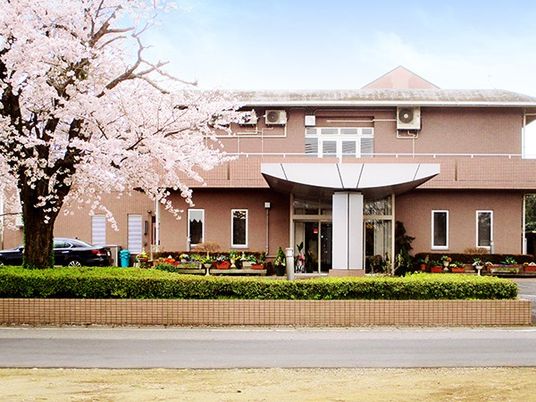 桜並木の建物外観  