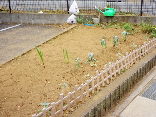 手入れされた小規模な庭