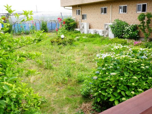 緑豊かな施設の庭