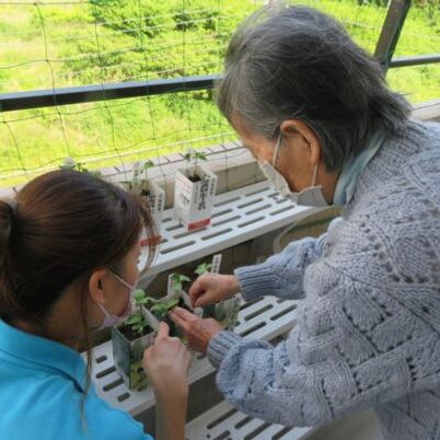 植物を手入れする人々