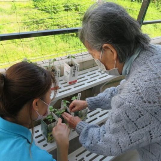 植物を手入れする人々