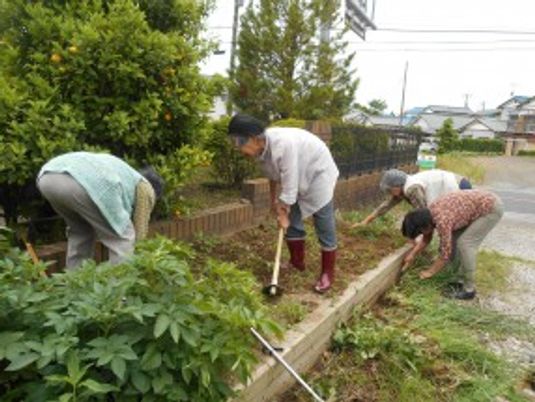 植物の手入れをする庭