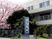 桜並木の施設外観  