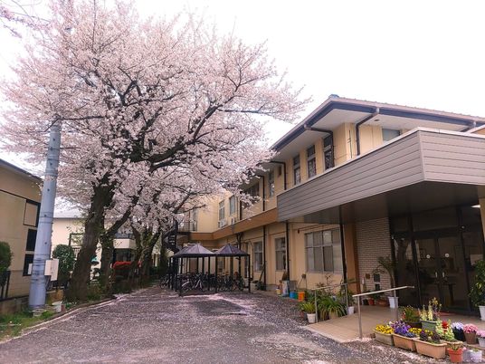 桜並木のある外観  