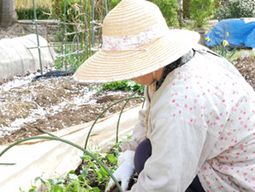 農作業をする人の後姿