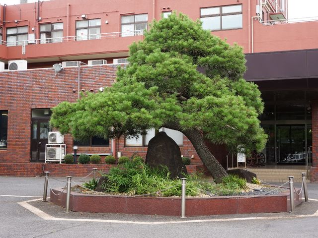緑豊かな樹木と施設外観 外観 自然の緑が心を癒すエントランス。静かな環境で働きませんか。