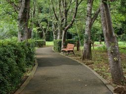 緑豊かな中庭の散歩道