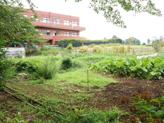 緑豊かな中庭の風景 畑 緑に囲まれた静かな環境で、心地よい時を過ごせる空間が広がっています。