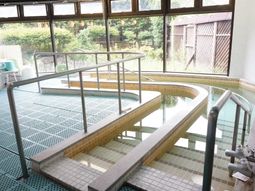 明るい浴室の手すり付きプール