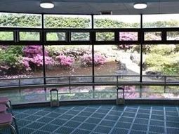 窓から見える美しい庭園