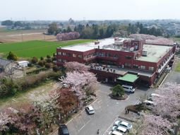 春の桜と施設外観