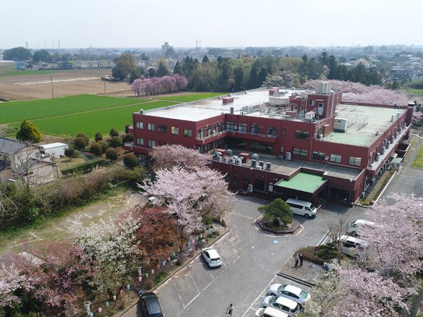 春の桜と施設外観