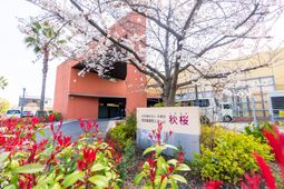 桜並木とエントランス