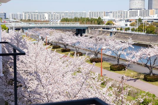 桜と川の景色のバルコニー