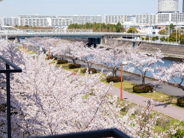 桜と川の景色のバルコニー 環境 ゆったりしたバルコニーからの桜が咲く川沿いの眺望は、心穏やかな時間を提供します。