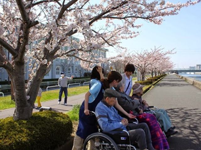 桜の下でのケアサービス活動 中庭 季節の移ろいを感じながら、ご入居者様と共に豊かな時間を創造するお仕事です。