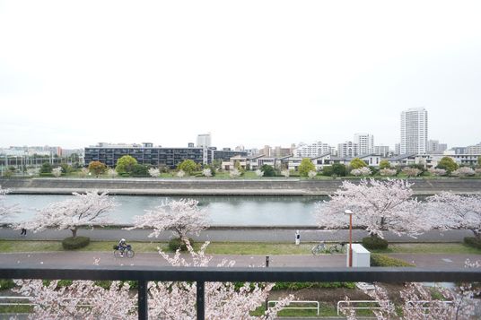 桜と川の景色のバルコニー