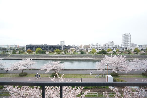桜と川の景色のバルコニー
