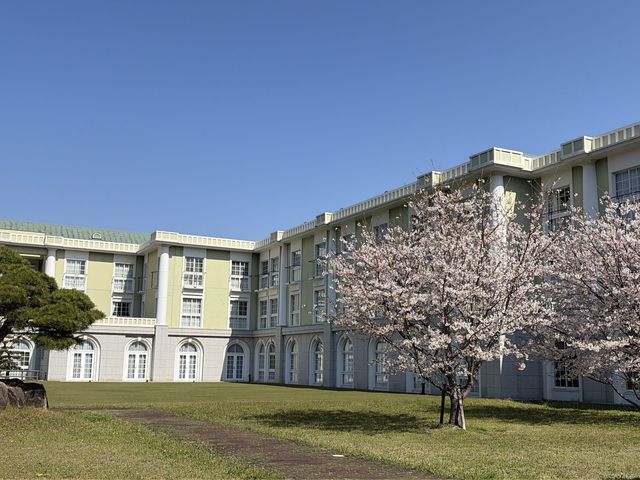 春の桜と共に建物外観 外観 広々とした敷地に佇む建物は、春の訪れを知らせる桜が彩りを添えています。車両のアクセスも良好で、快適な環境が整っております。
