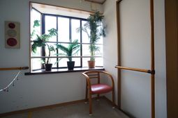 窓辺の植物と椅子
