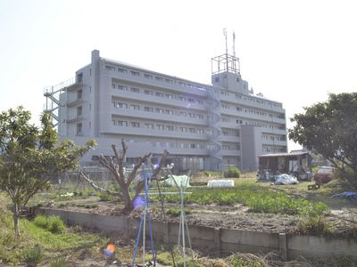 大きな建物と庭