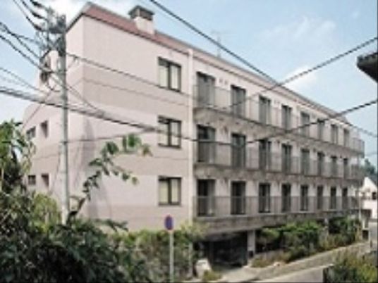 多階層の明るい外観