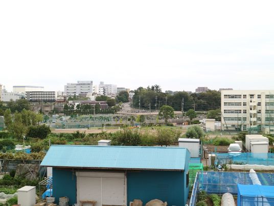 青空の下の庭園風景