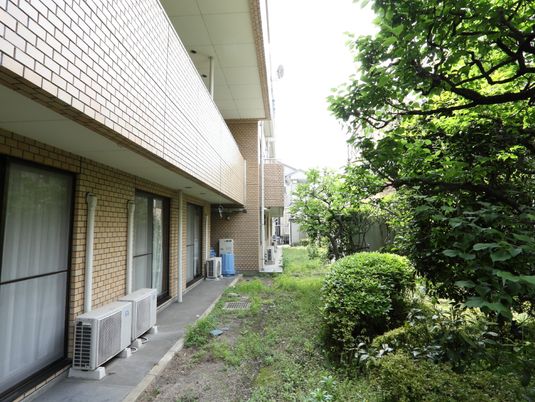 緑に囲まれた建物の外観