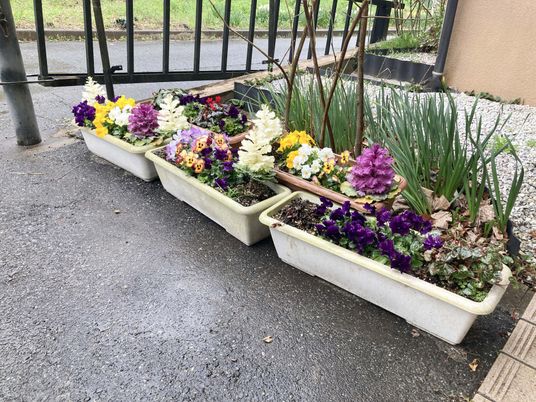 色とりどりの花壇