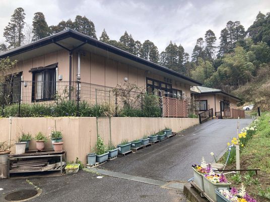 緑に囲まれた外観