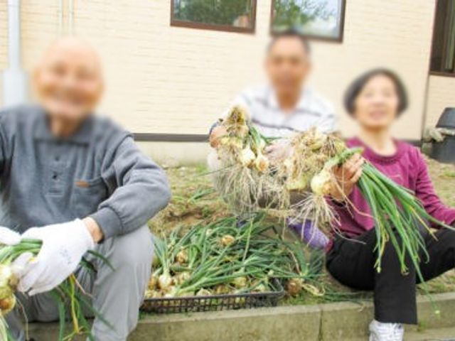 庭での作業の様子 庭 庭での活動を通じて、自然と触れ合うことでリフレッシュできます。笑顔で交流しながら、楽しいひと時を過ごせます。