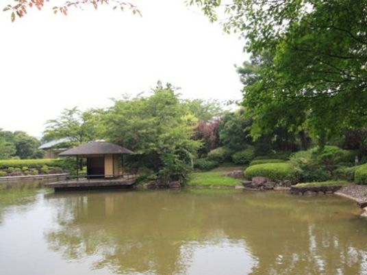 緑豊かな中庭風景