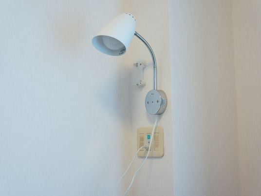 壁掛けの照明とコンセント
