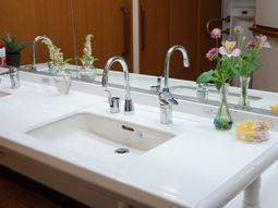 清潔な洗面台と花