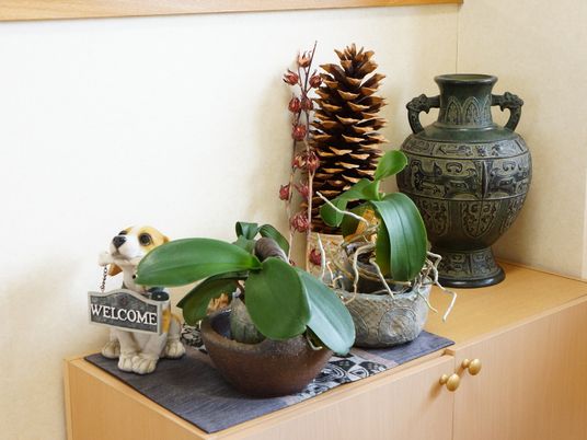 エントランスの装飾品