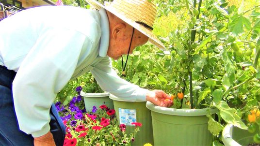 利用者が庭で植物を世話