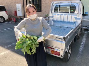 収穫作業をする人