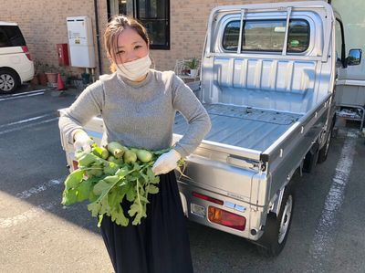 収穫作業をする人
