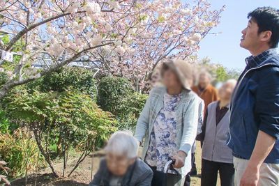 華やかな中庭の風景
