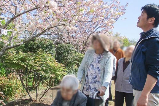 華やかな中庭の風景