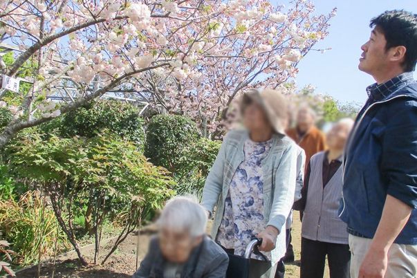 華やかな中庭の風景