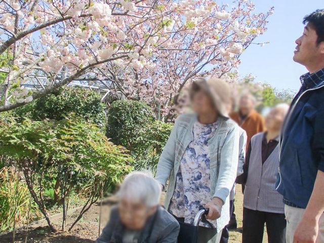 華やかな中庭の風景 中庭 美しい花が咲き誇る庭園で、落ち着いた時間を過ごせます。リラックスでき、自然を感じられる場です。