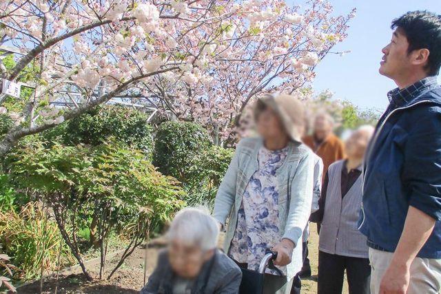 華やかな中庭の風景 中庭 美しい花が咲き誇る庭園で、落ち着いた時間を過ごせます。リラックスでき、自然を感じられる場です。