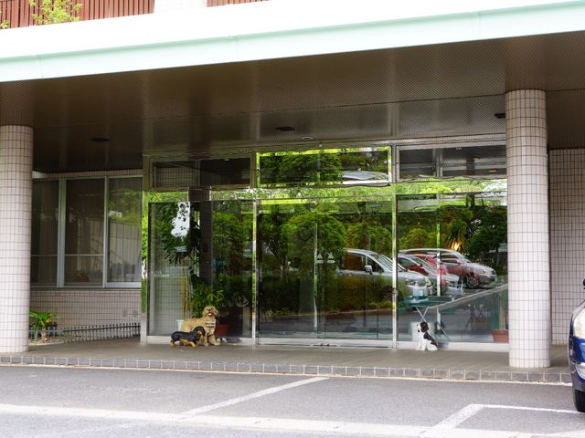 エントランスの透明なガラス扉