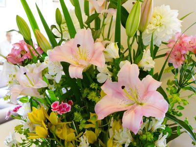 明るく咲く花と背景の人