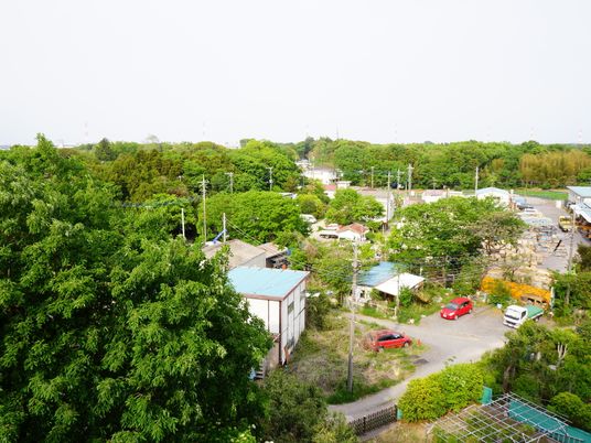 緑豊かな外観景色
