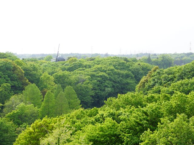緑豊かな中庭景観 外の様子 開放感ある中庭は、四季折々の自然をお楽しみいただけます。新鮮な空気を味わいながら、心地よいひと時をご満喫いただける空間です。